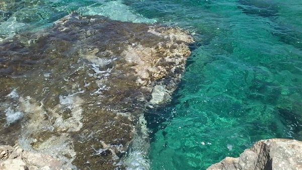 منطقة علم الروم