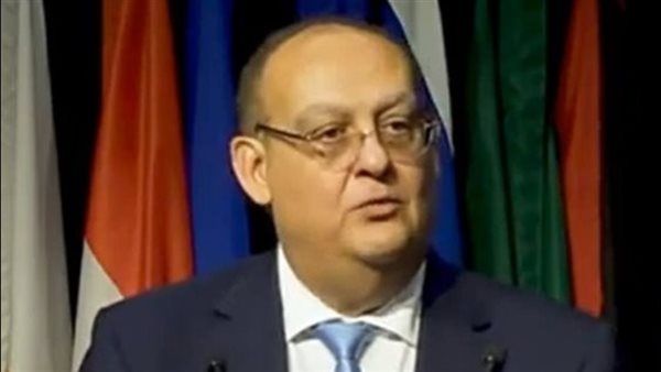 السفير المصرى فى