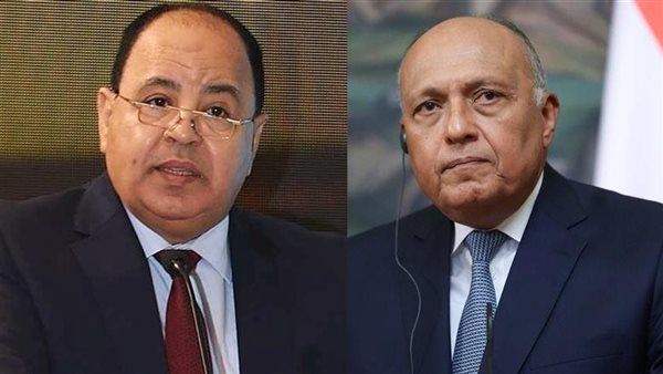 سامح شكري ومحمد معيط