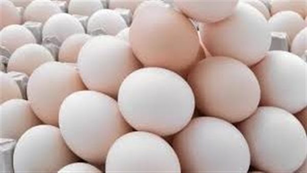 سعر كرتونة البيض