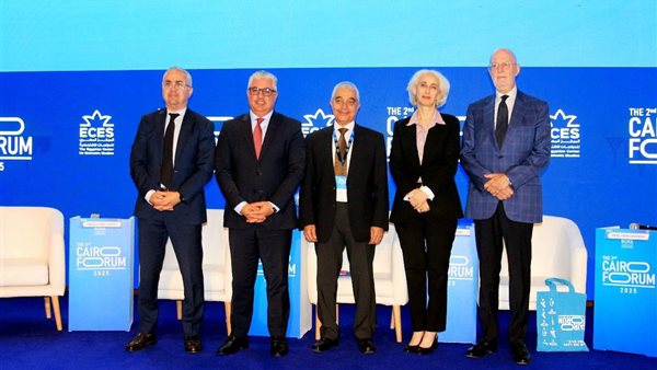 مساعد وزير الاستثمار