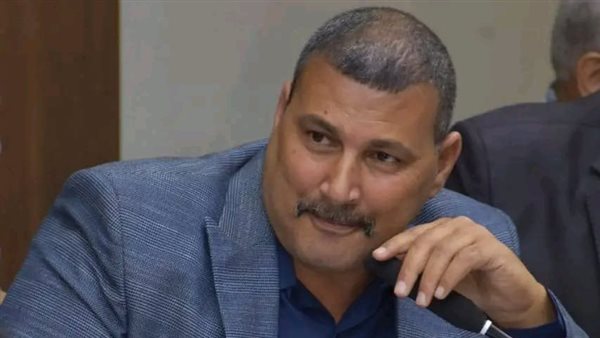  المستشار إبراهيم