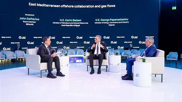 وزير البترول والثروة