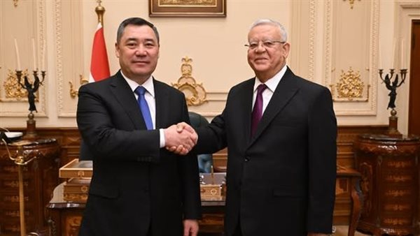 المستشار الدكتور