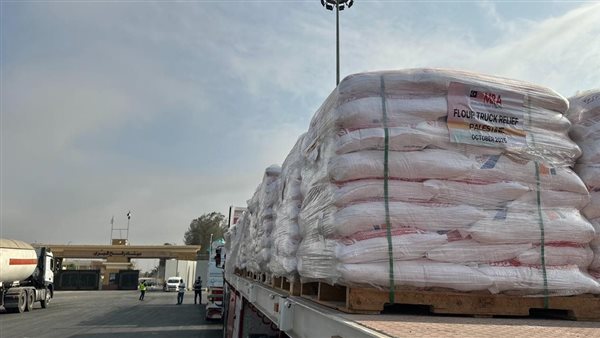 الهلال الأحمر المصري