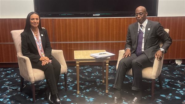 وزيرة التضامن الاجتماعي