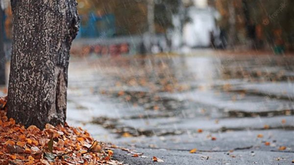 حالة الطقس غدا