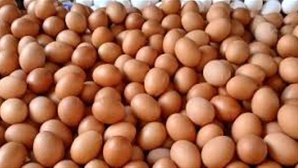  سعر كرتونة البيض