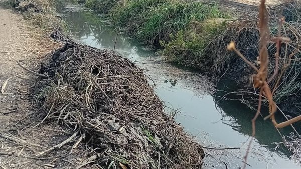 رفع المخلفات والحشائش