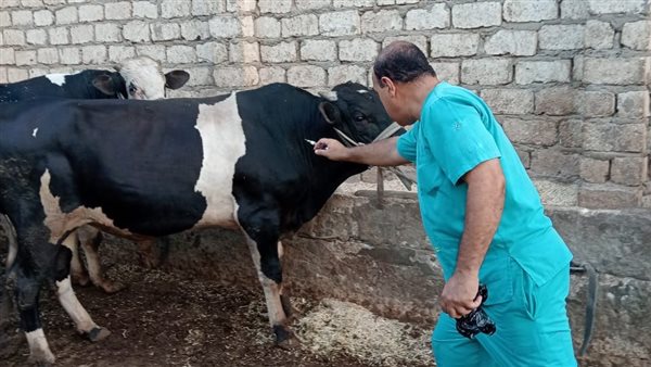 الحملة القومية الثالثة