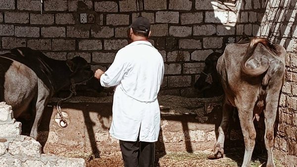 تحصين أكثر من 16