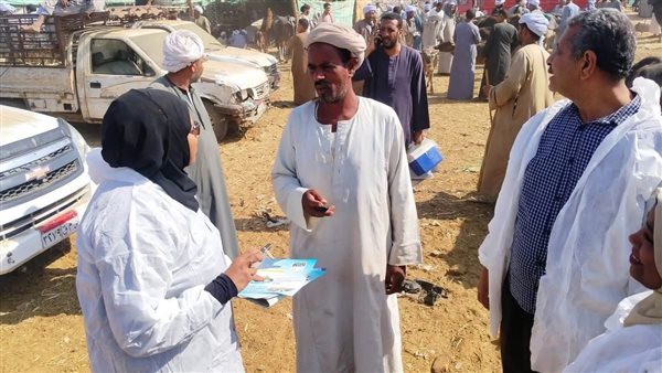 محافظ أسوان يتابع