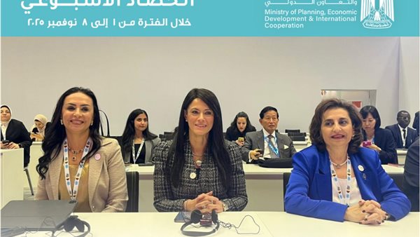 وزيرة التخطيط والتنمية