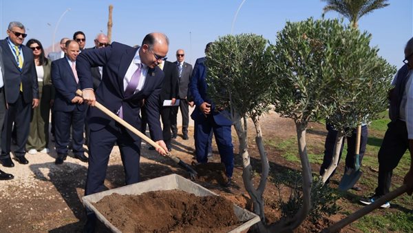 الدكتور محمد فريد