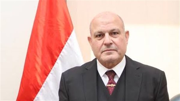 المستشار محمد الشناوي،