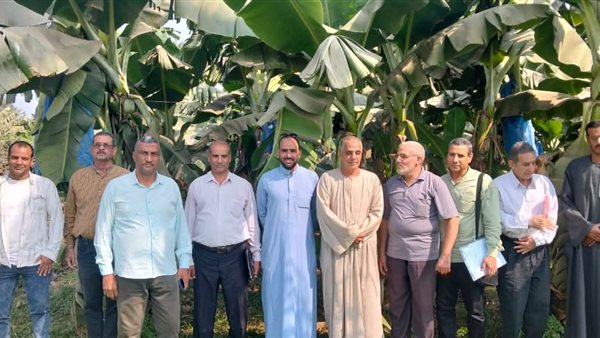   الإرشاد الزراعي