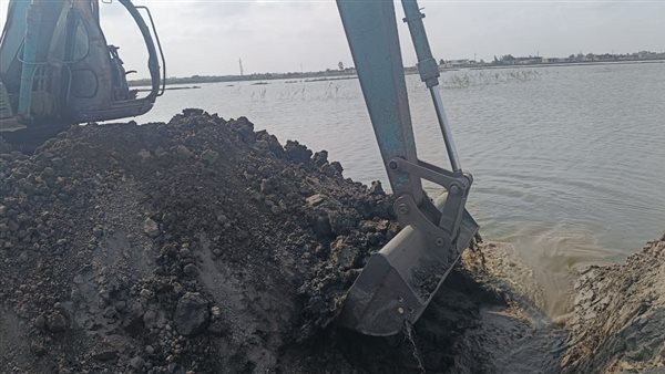 إزالة كافة أشكال