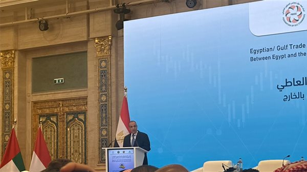 الدكتور بدر عبد العاطي