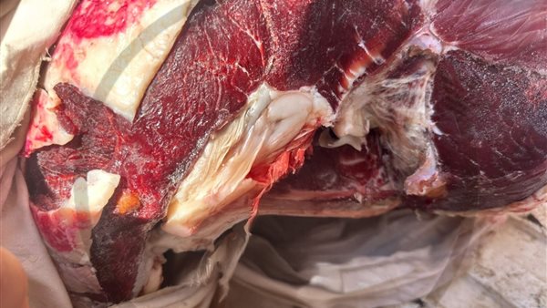 المنتجات الفاسدة