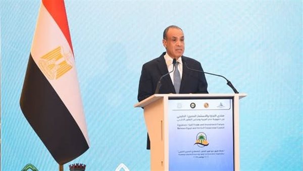 الدكتور بدر عبد العاطي