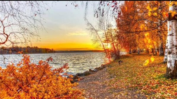 حالة الطقس غدا