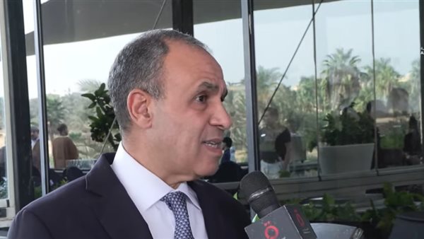 وزير الخارجية المصري