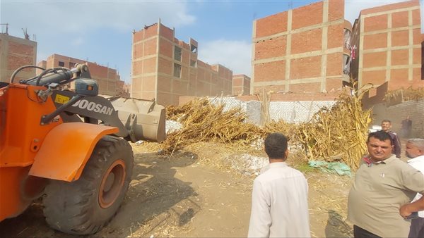 إزالة 167 حالة تعدٍي