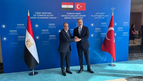 وزير الخرجية المصري