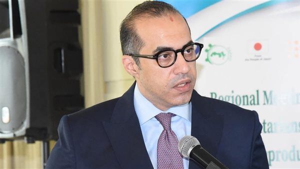  وزير الشئون النيابية