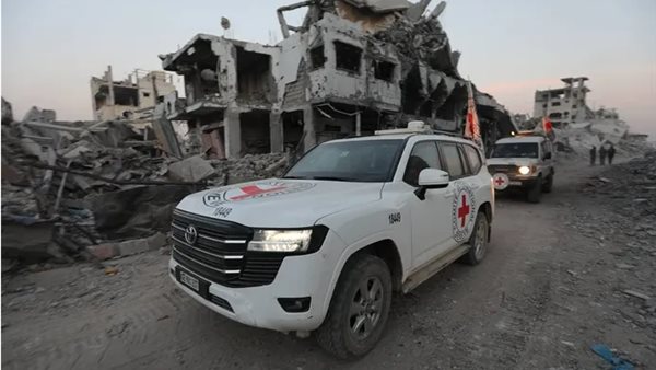 صورة موضوعية