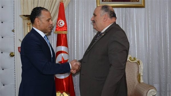 السفير المصري في