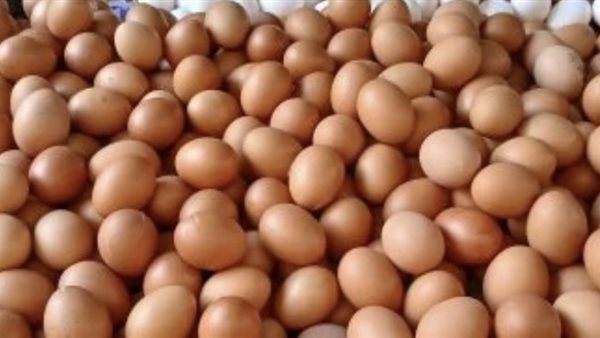  سعر كرتونة البيض