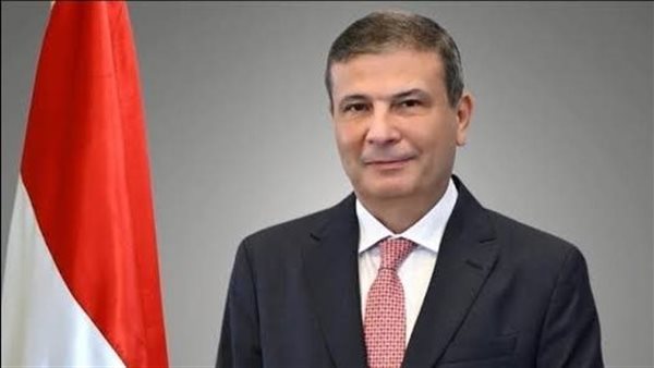 علاء فاروق، وزير