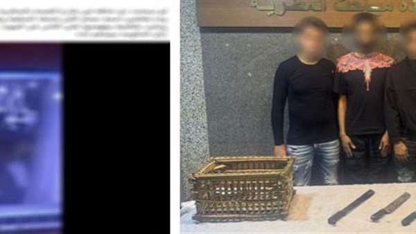 ضبط أطراف مشاجرة عنيفة في المطرية بسبب معاكسة فتاة