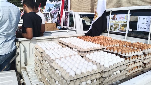 ضخ كميات من بيض المائدة