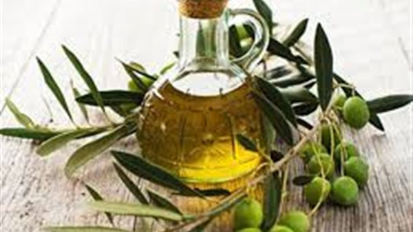  الفرق بين زيت الزيتون
