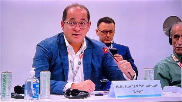 وزير المالية