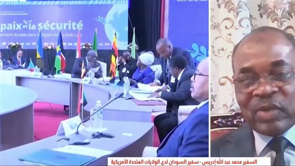  السفير محمد عبدالله