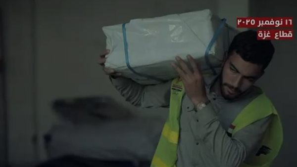 اللجنة المصرية في