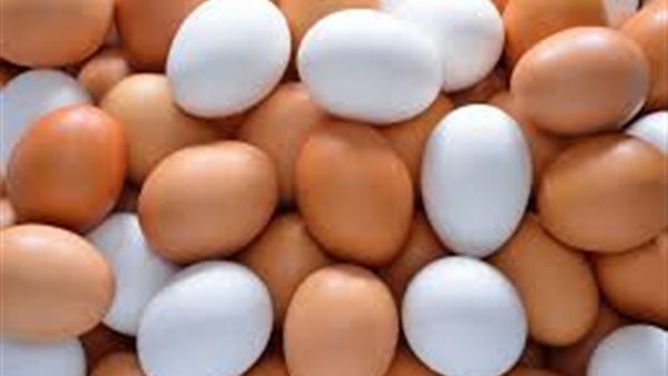 سعر كرتونة البيض