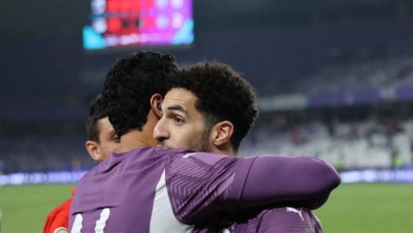 محمد الشناوي 