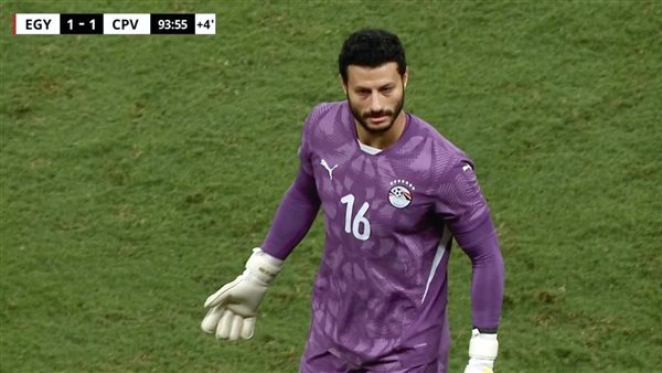 محمد الشناوي 