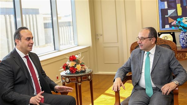 وزير قطاع الأعمال