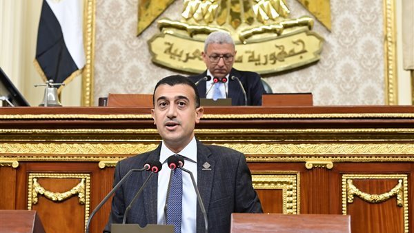 النائب طارق الخولي