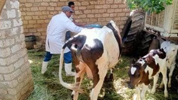 جانب من الحملة 