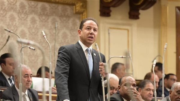 النائب حسن عمار 