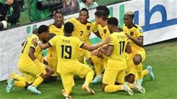 مباشر مباراة الإكوادور