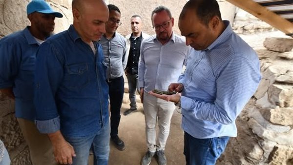 البعثة الأثرية الفرنسية