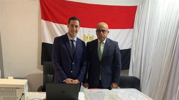 تصويت المصريين في