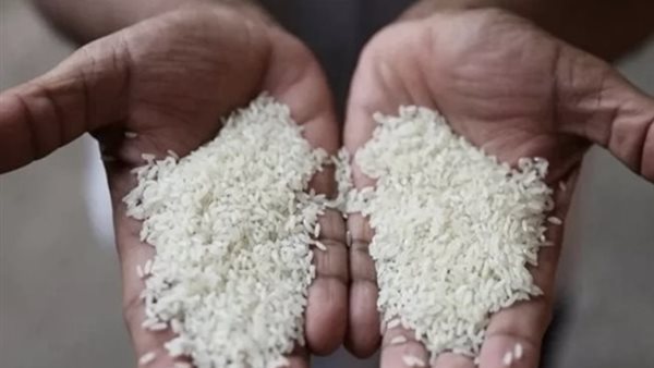 أسعار الأرز